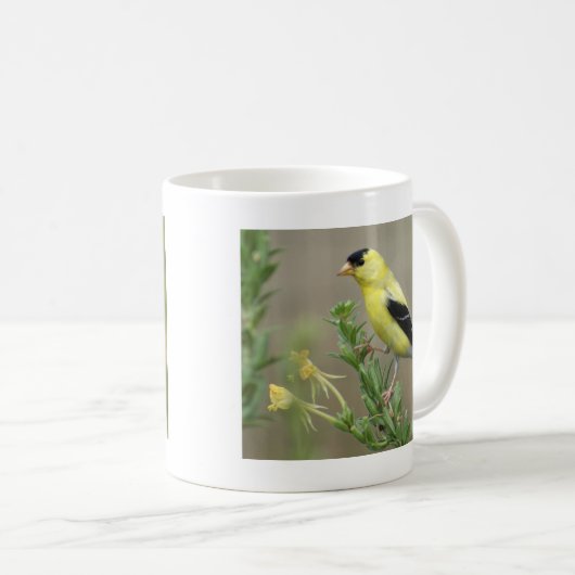 Goldfinch Kaffeetasse (VorderseiteRechts)