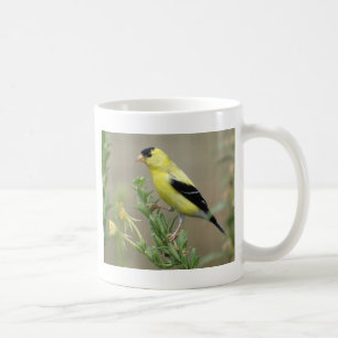 Goldfinch Kaffeetasse