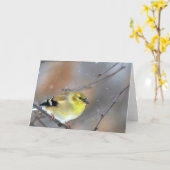 Goldfinch Karte (Gelbe Blume)