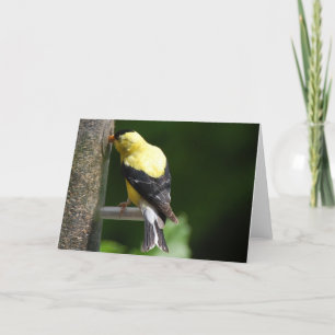 Goldfinch Karte