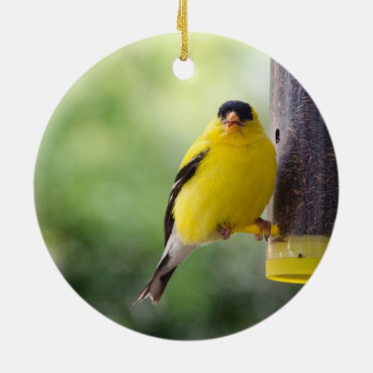Goldfinch Keramik Ornament (Hinten)