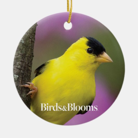 Goldfinch Keramik Ornament (Vorne)