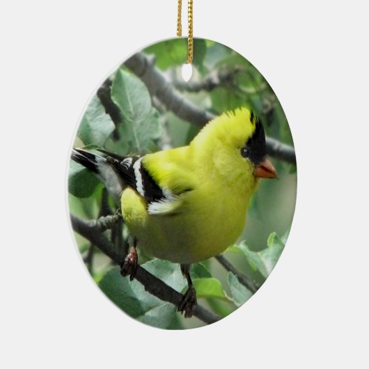 Goldfinch Keramik Ornament (Rechts)