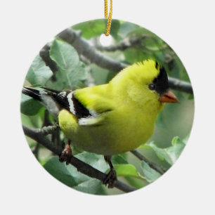 Goldfinch Keramik Ornament