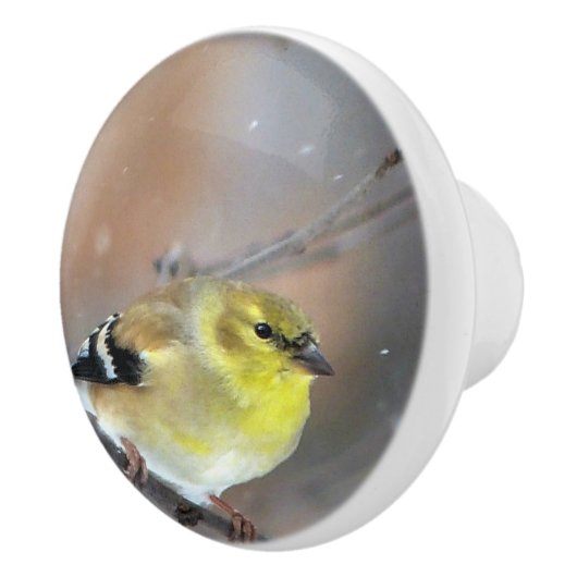 Goldfinch Keramikknauf (Rechts)