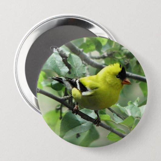 Goldfinch-Knopf Button (Vorne & Hinten)