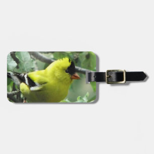 Goldfinch Luggage Tag Gepäckanhänger