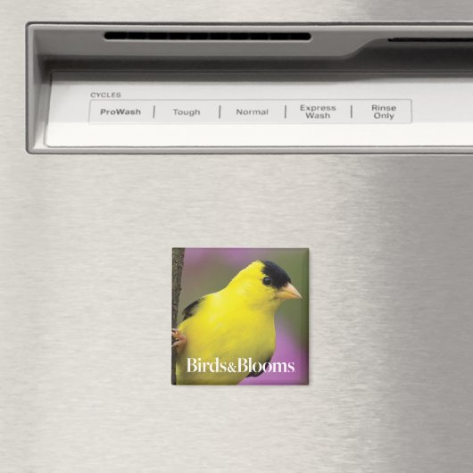 Goldfinch Magnet (In Situ (Geschirrspüler))