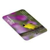 Goldfinch Magnet (Rechte Seite)