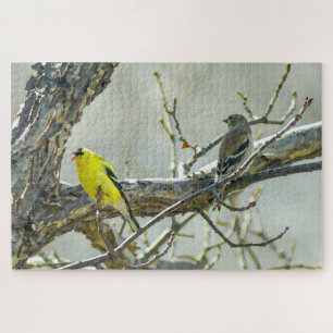 Goldfinch Male und Female Bird Lover Puzzle