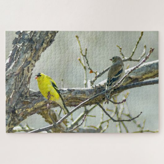 Goldfinch Male und Female Bird Lover Puzzle (Horizontal)