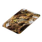 Goldfinch mit Sonnenblumenmagnet Magnet (Linke Seite)