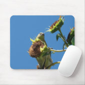 Goldfinch Mousepad (Mit Mouse)