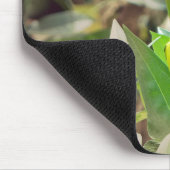 Goldfinch Mousepad (Ecke)
