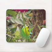 Goldfinch Mousepad (Mit Mouse)