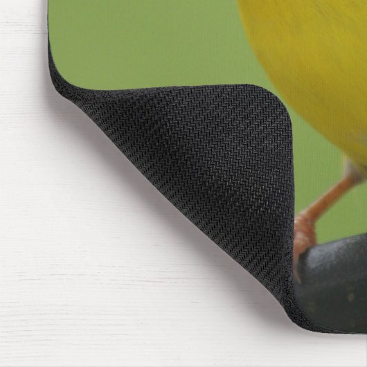 Goldfinch Mousepad (Ecke)