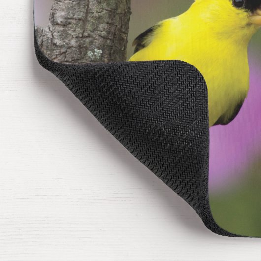 Goldfinch Mousepad (Ecke)