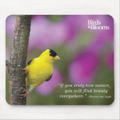 Goldfinch Mousepad (Vorne)
