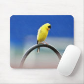 Goldfinch-Mousepad Mousepad (Mit Mouse)