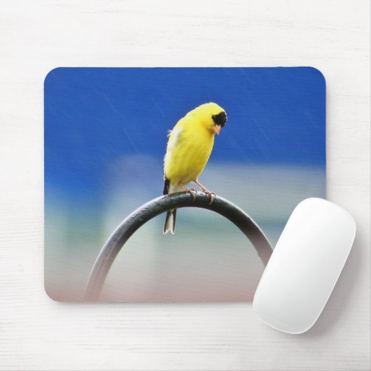 Goldfinch-Mousepad Mousepad (Mit Mouse)