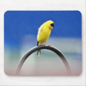 Goldfinch-Mousepad Mousepad (Vorne)