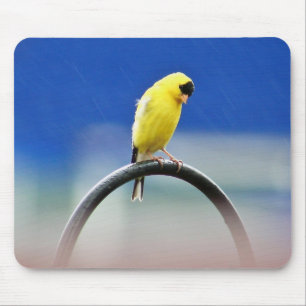 Goldfinch-Mousepad Mousepad