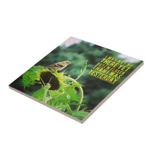 Goldfinch Naher als gestern Positivität Fliese (Seite)