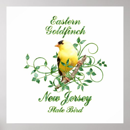 Goldfinch New Jersey Staat Bird Poster (Vorne)