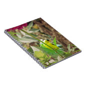 Goldfinch Notizblock (Rechte Seite)