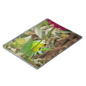 Goldfinch Notizblock (Linke Seite)