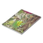 Goldfinch Notizblock (Rotiert)