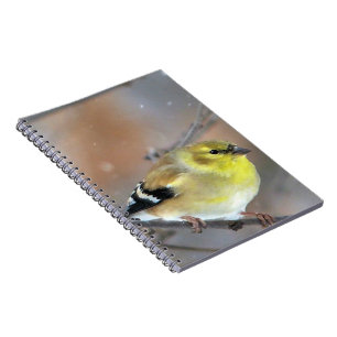 Goldfinch Notizblock