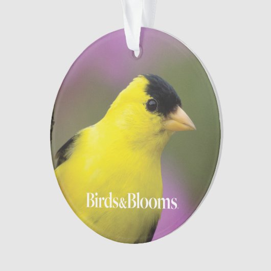 Goldfinch Ornament (Vorderseite)