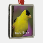 Goldfinch Ornament Aus Metall (Rechts)