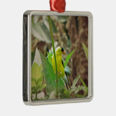 Goldfinch Ornament Aus Metall (Rechts)