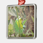 Goldfinch Ornament Aus Metall (Links)