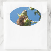 Goldfinch Ovaler Aufkleber (Tasche)