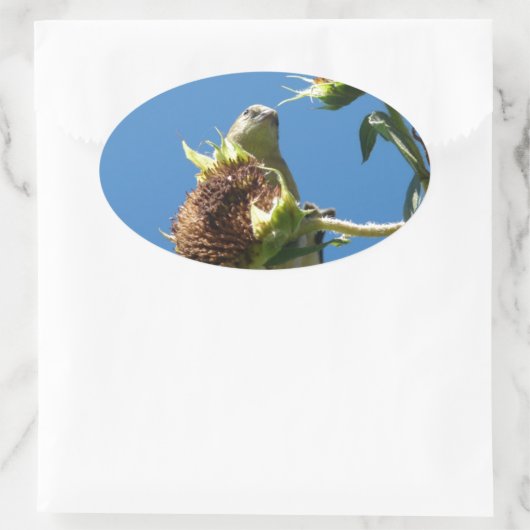 Goldfinch Ovaler Aufkleber (Tasche)