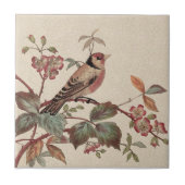 Goldfinch Polychrome Staffordshire Repro Antike Fliese (Vorderseite)