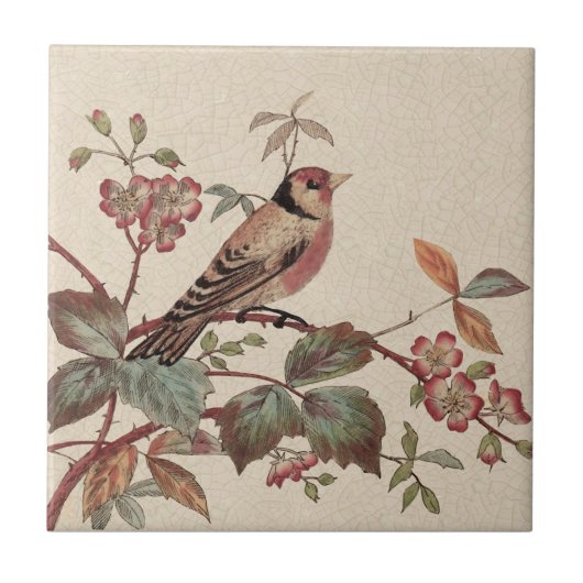 Goldfinch Polychrome Staffordshire Repro Antike Fliese (Vorderseite)
