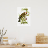 Goldfinch Poster (Küche)