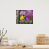Goldfinch Poster (Küche)