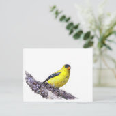 Goldfinch Postkarte (Stehend Vorderseite)