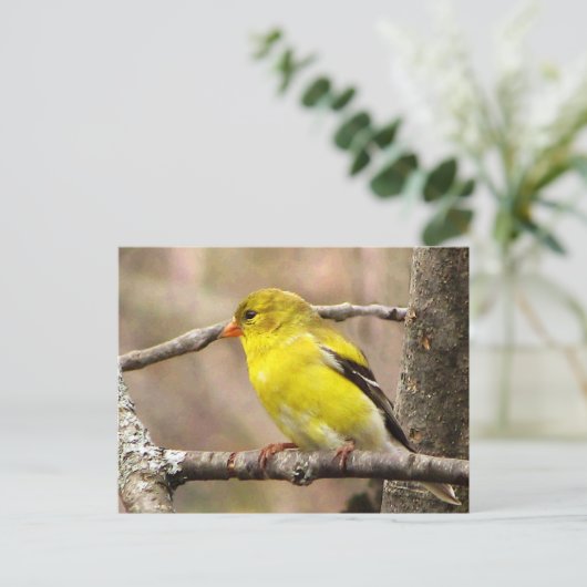 Goldfinch Postkarte (Stehend Vorderseite)