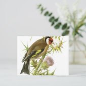 Goldfinch Postkarte (Stehend Vorderseite)