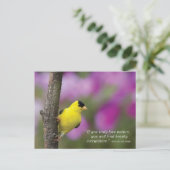 Goldfinch Postkarte (Stehend Vorderseite)