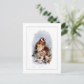Goldfinch Postkarte (Stehend Vorderseite)