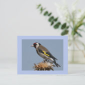 Goldfinch Postkarte (Stehend Vorderseite)