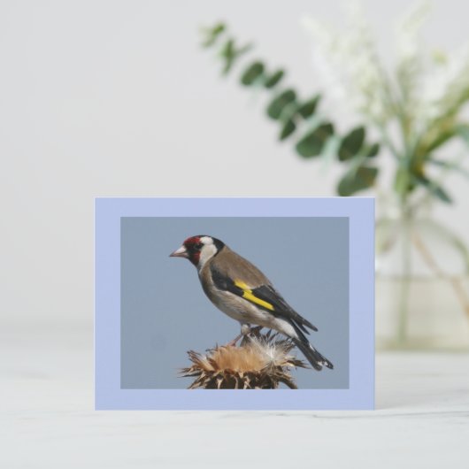 Goldfinch Postkarte (Stehend Vorderseite)