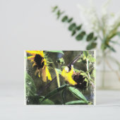 Goldfinch Postkarte (Stehend Vorderseite)